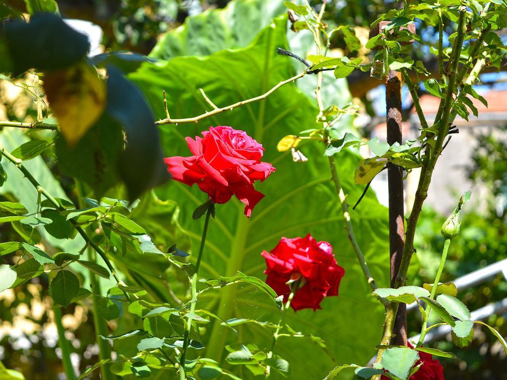 The Secret Garden Relais Hotel ปิอาโนดิซอร์เรนโต ภายนอก รูปภาพ